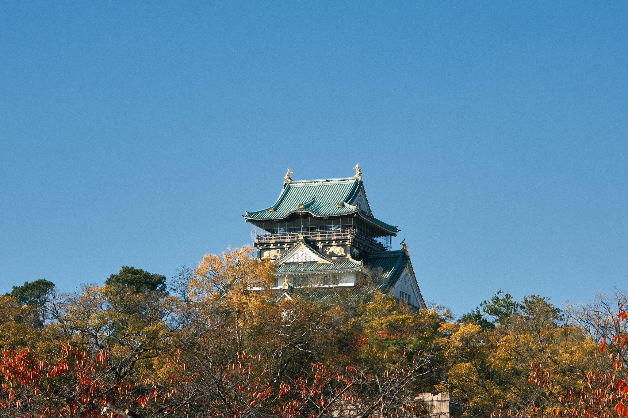 Osaka Castle | 大阪城