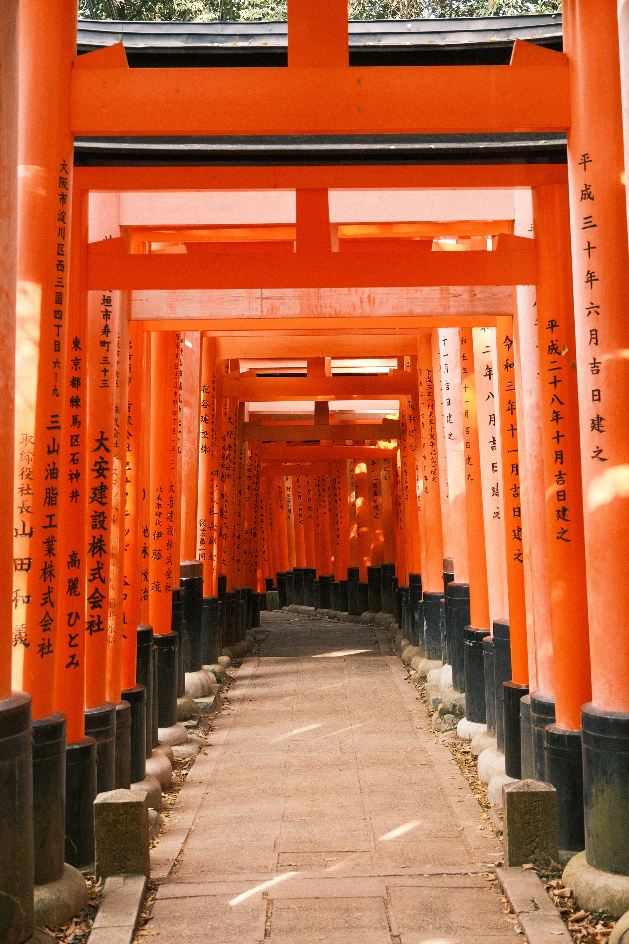 Fushimi Inari Shrine | 伏見稲荷大社
