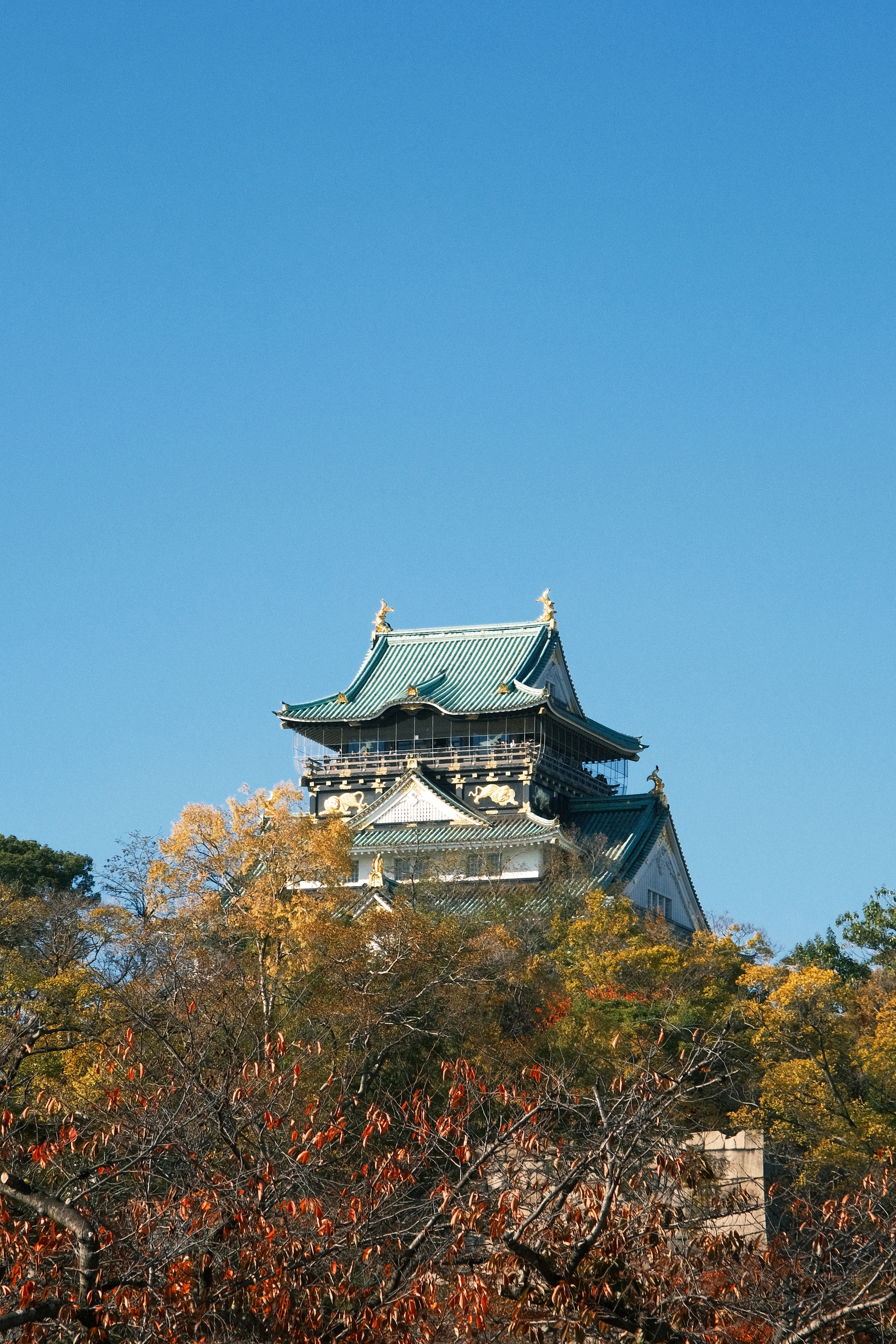 Osaka Castle | 大阪城