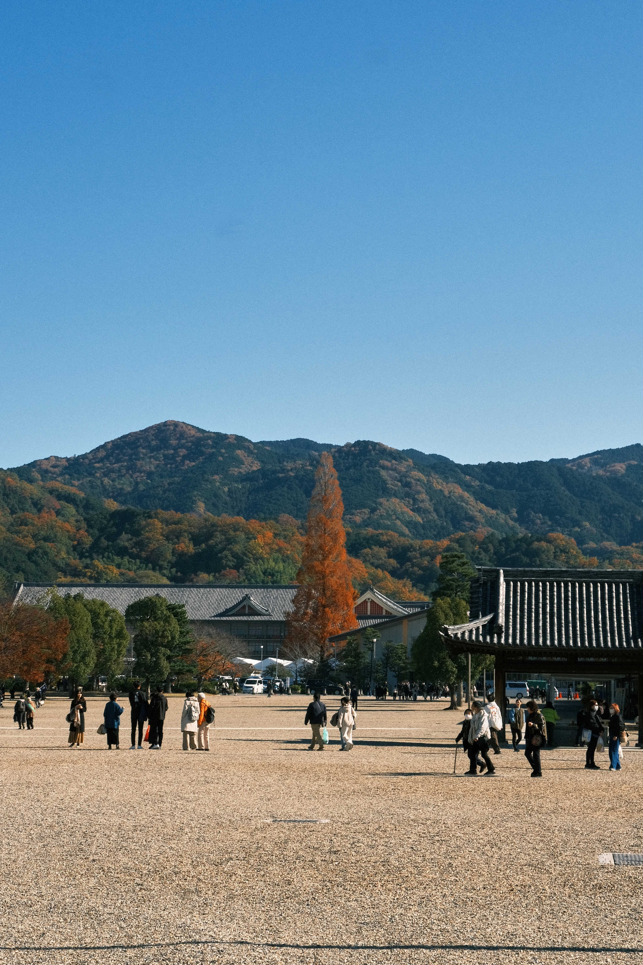 Tenrikyo Church | 天理教教会本部