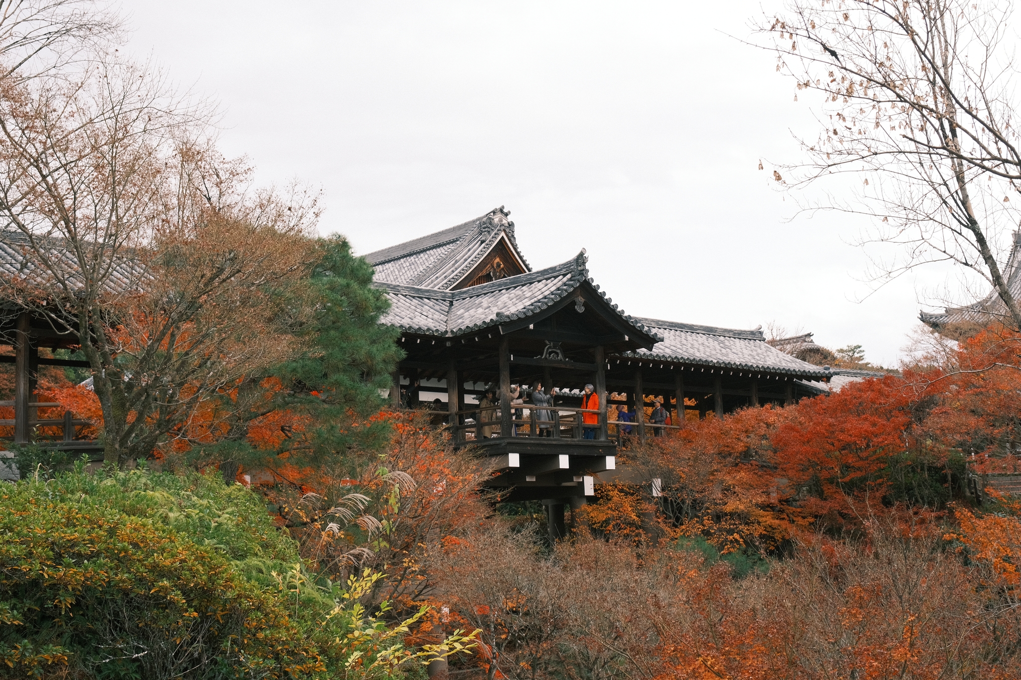 Tōfuku-ji | 東福寺