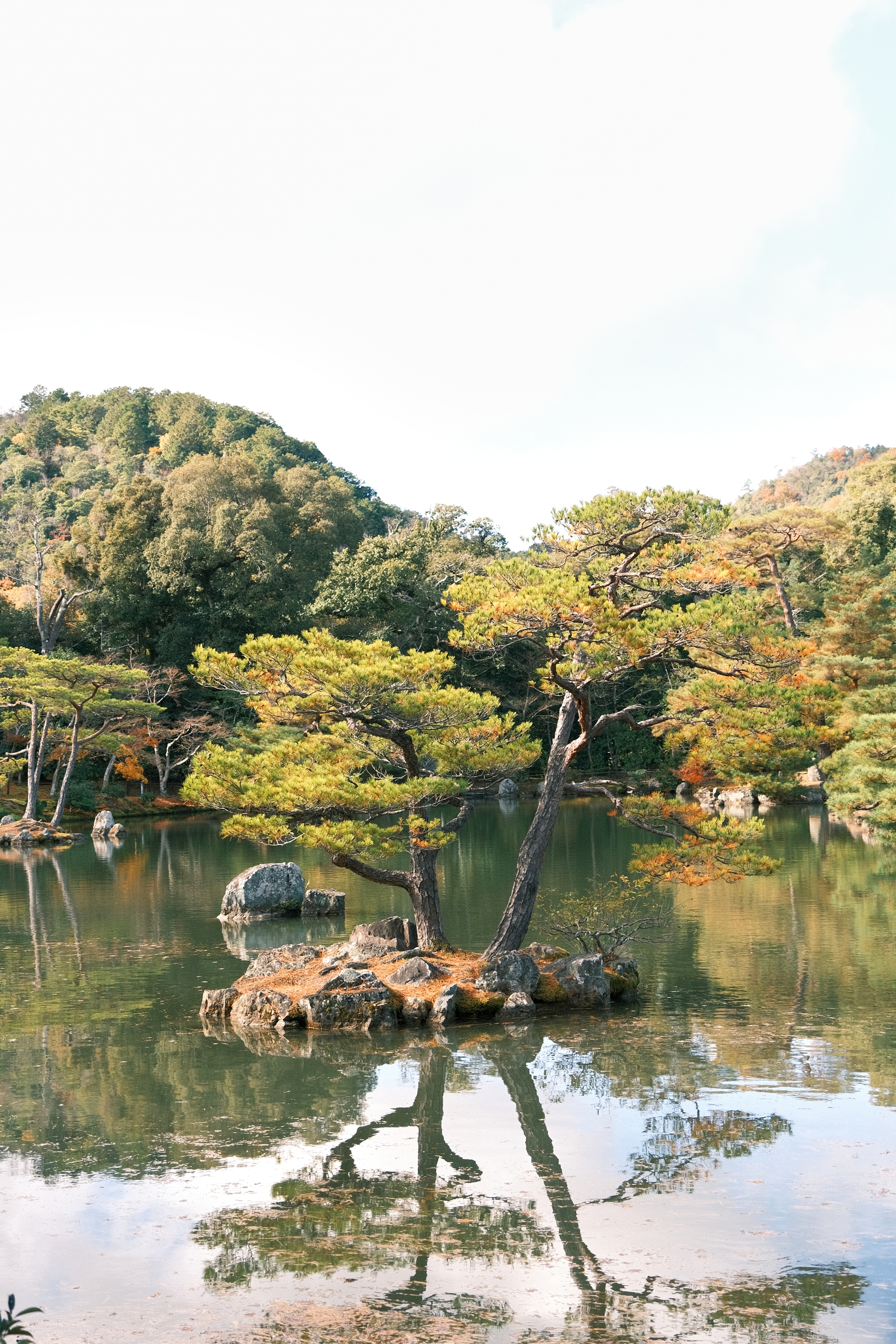 Ginkaku-ji | 銀閣寺