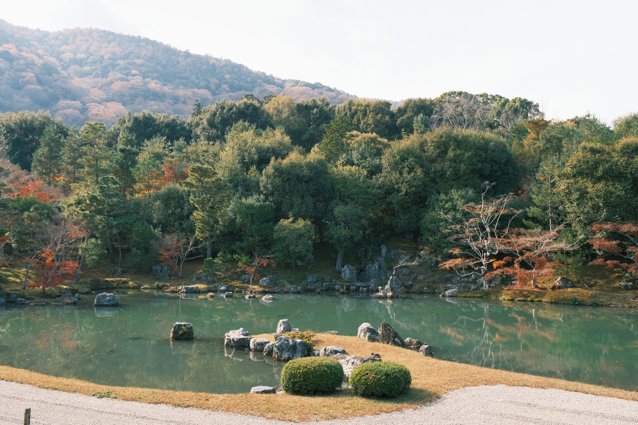 Tenryu-ji | 天龍寺
