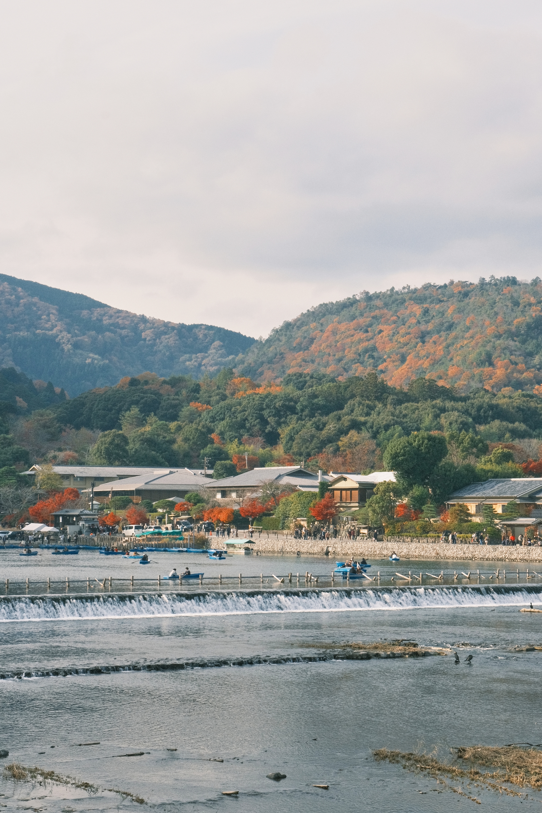 Arashiyama Momiji | 嵐山 紅葉