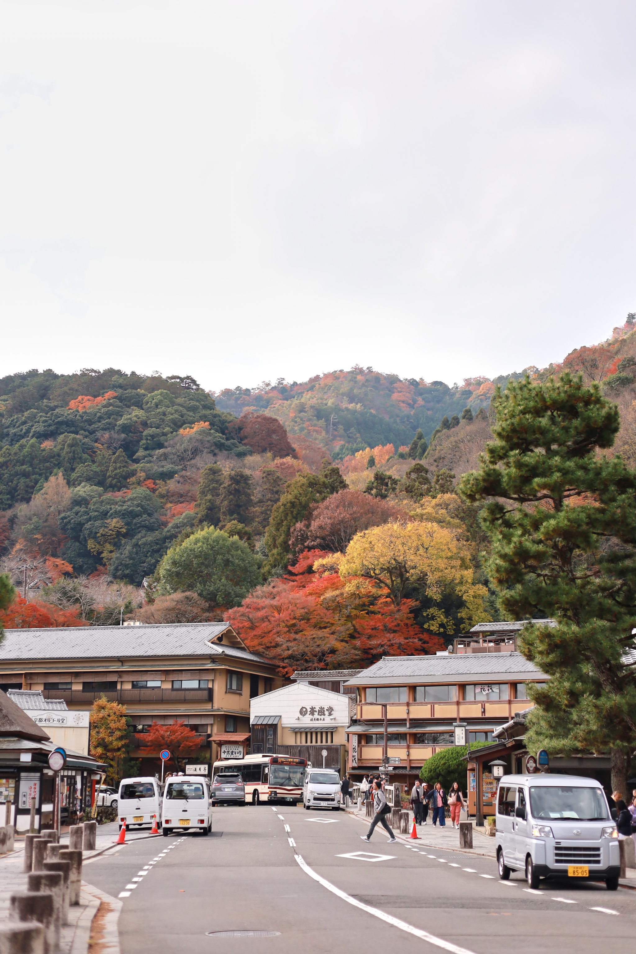 Arashiyama Momiji | 嵐山 紅葉