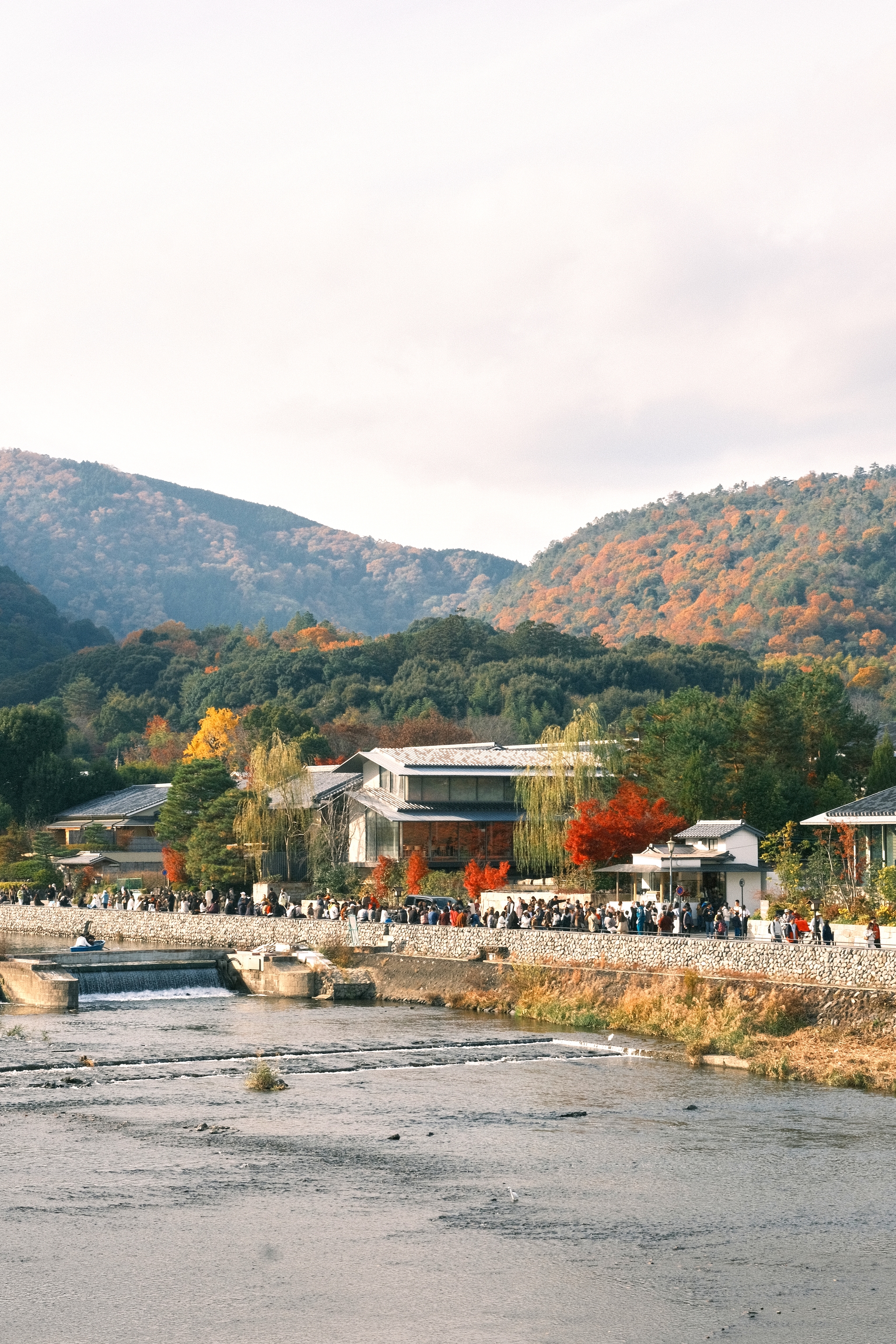 Arashiyama Momiji | 嵐山 紅葉
