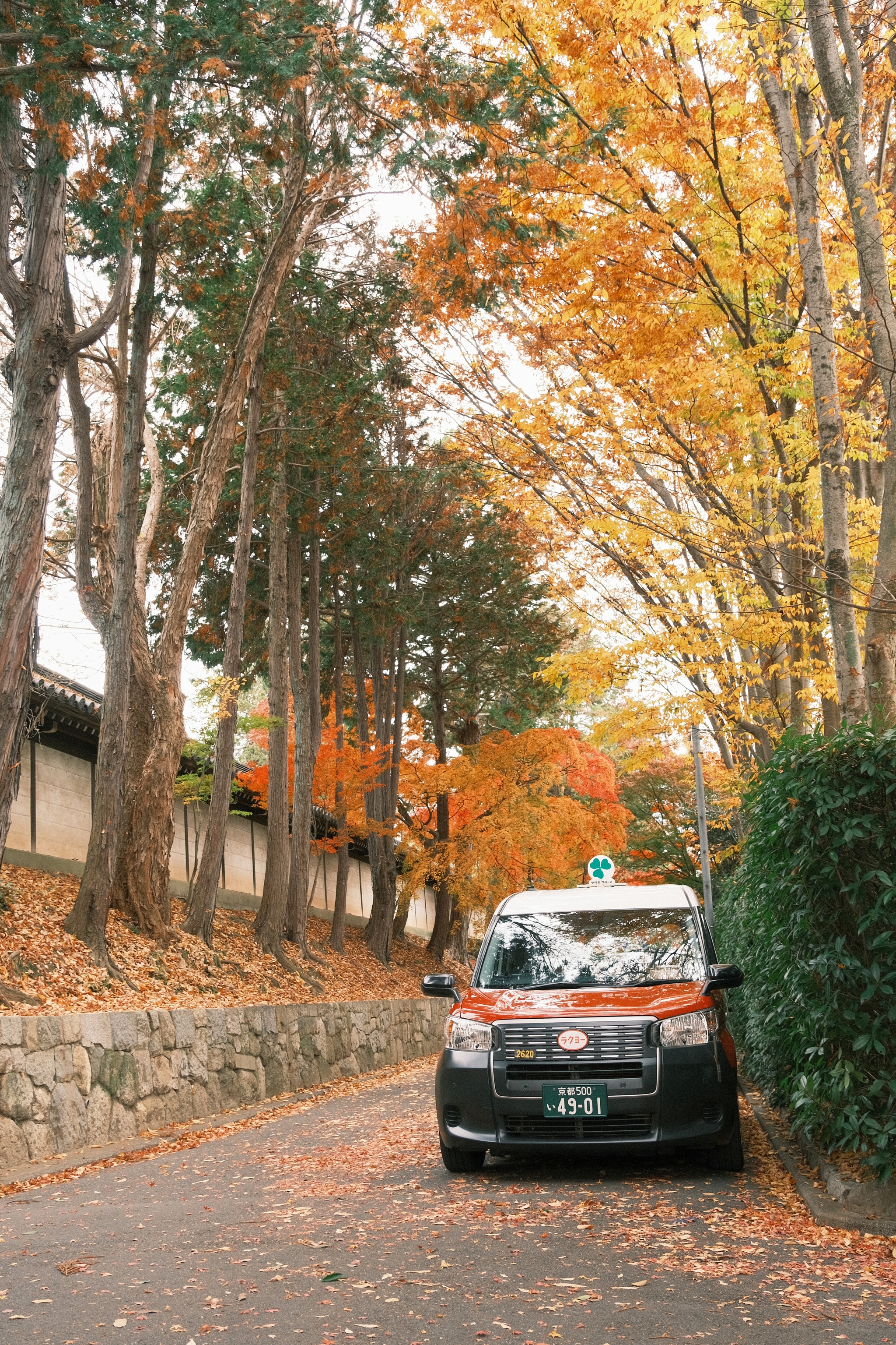 Ginkaku-ji | 銀閣寺