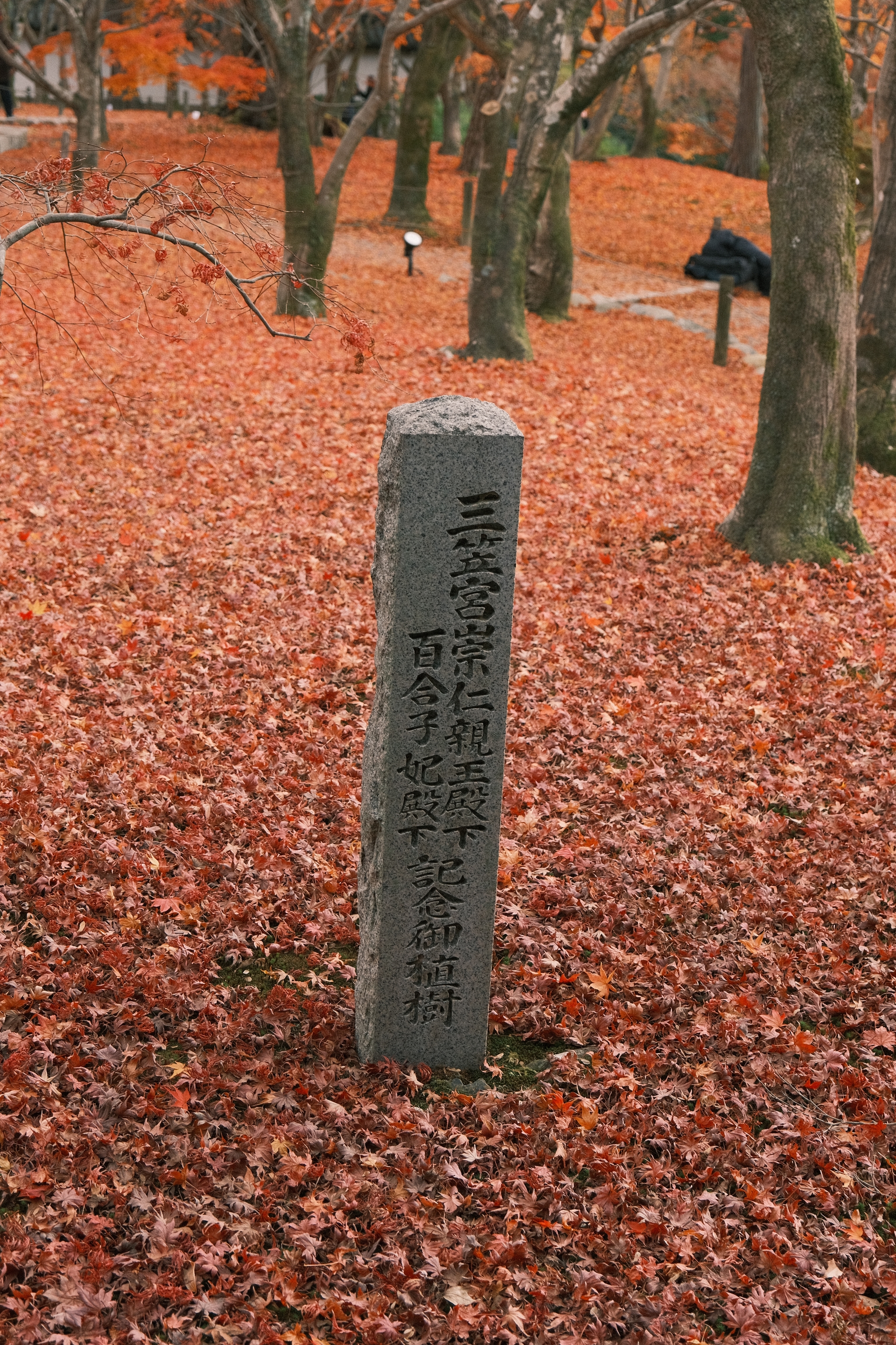 Tōfuku-ji | 東福寺