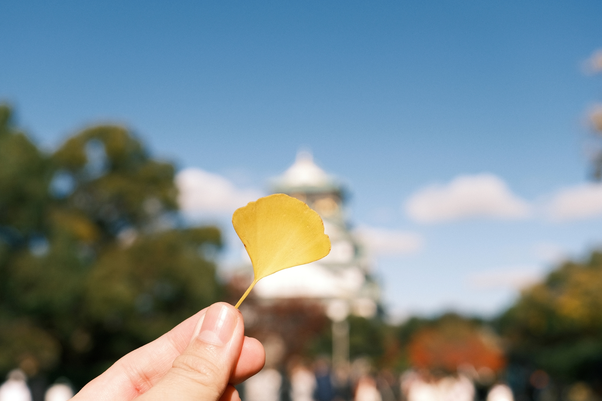 Osaka Castle | 大阪城