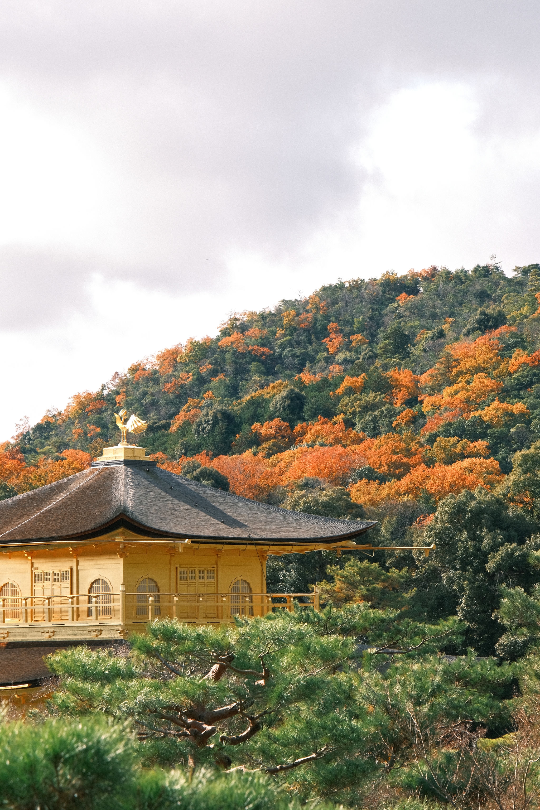 Ginkaku-ji | 銀閣寺