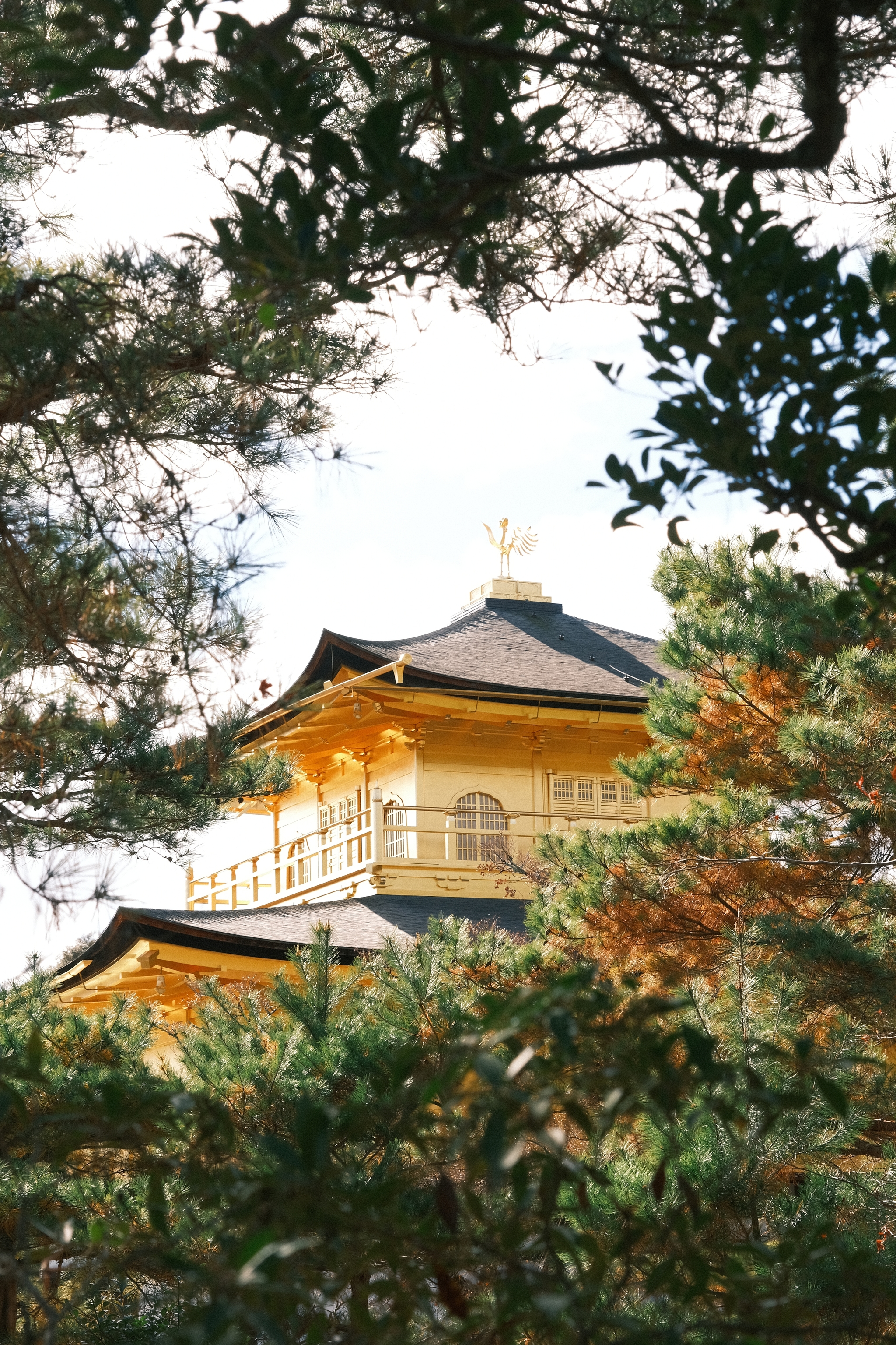 Ginkaku-ji | 銀閣寺