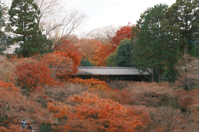 Tōfuku-ji | 東福寺
