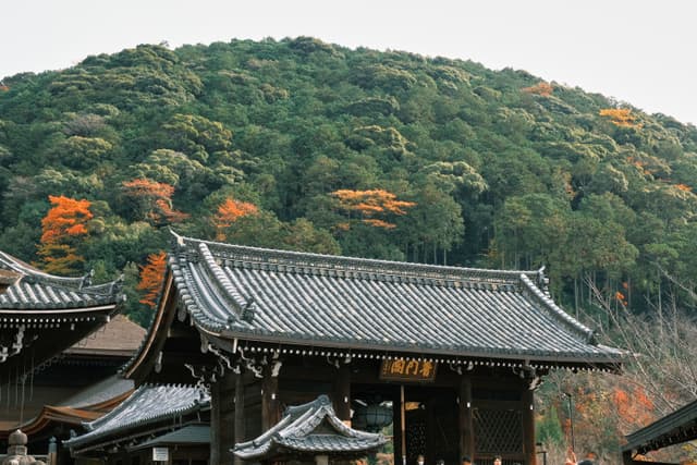 Kiyomizu-dera｜清水寺