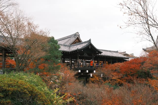 Tōfuku-ji | 東福寺