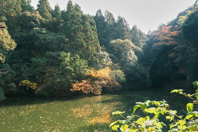 Fushimi Inari Shrine