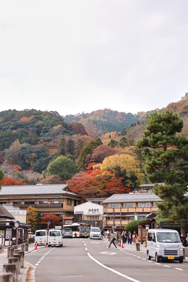 Arashiyama Momiji | 嵐山 紅葉