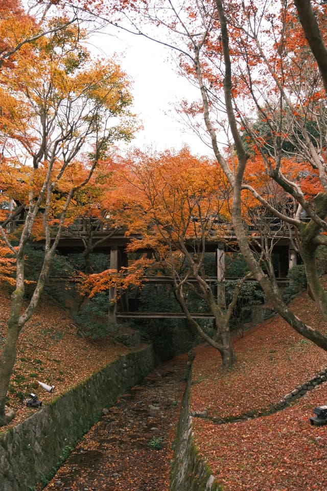 Tōfuku-ji | 東福寺