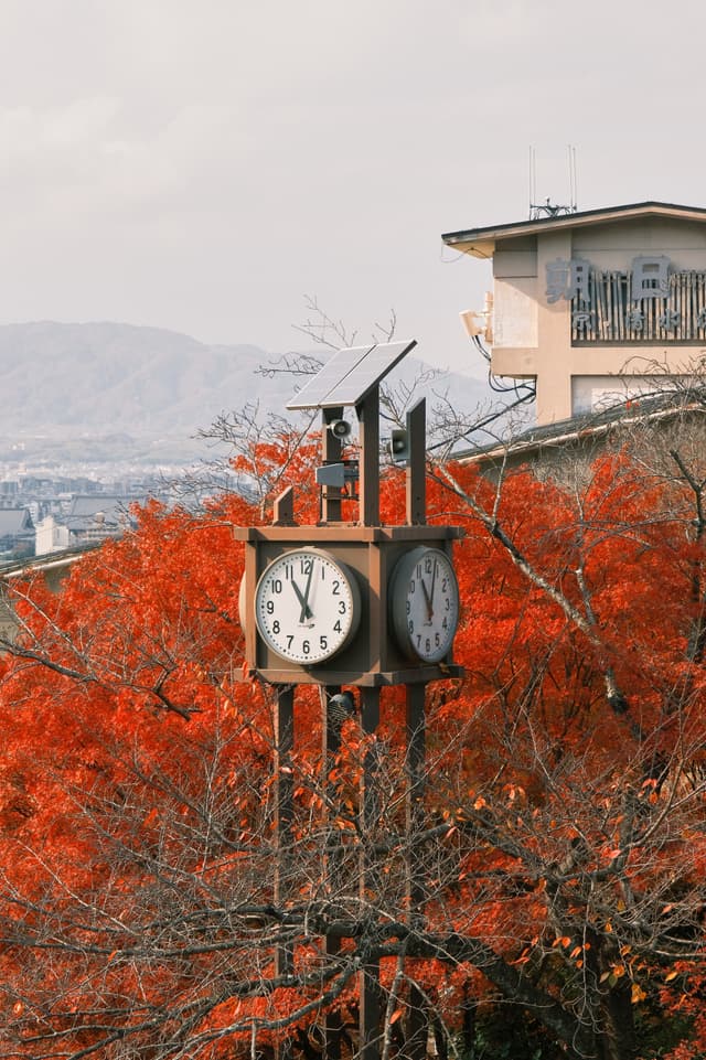 Kiyomizu-dera｜清水寺