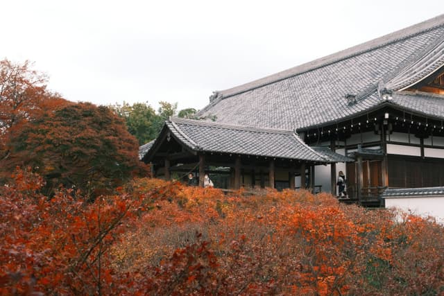 Tōfuku-ji | 東福寺