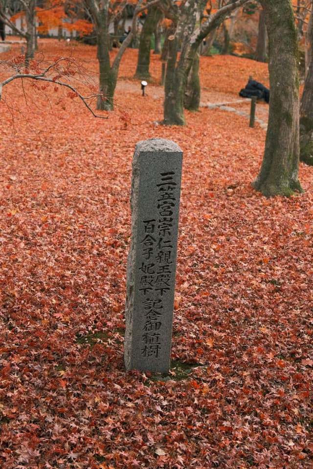 Tōfuku-ji | 東福寺