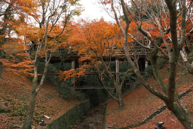 Tōfuku-ji | 東福寺