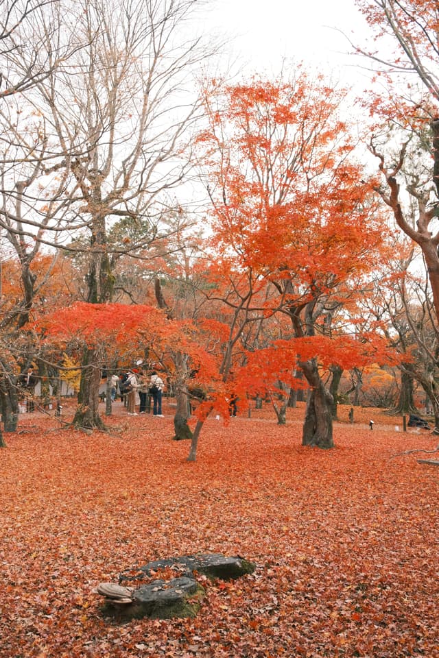 Tōfuku-ji | 東福寺